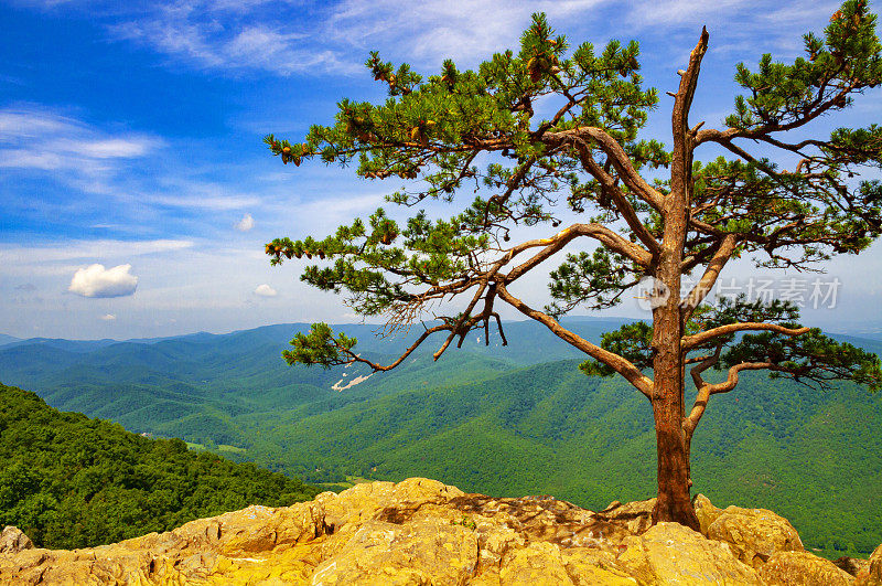 Shenandoah Skyline Drive